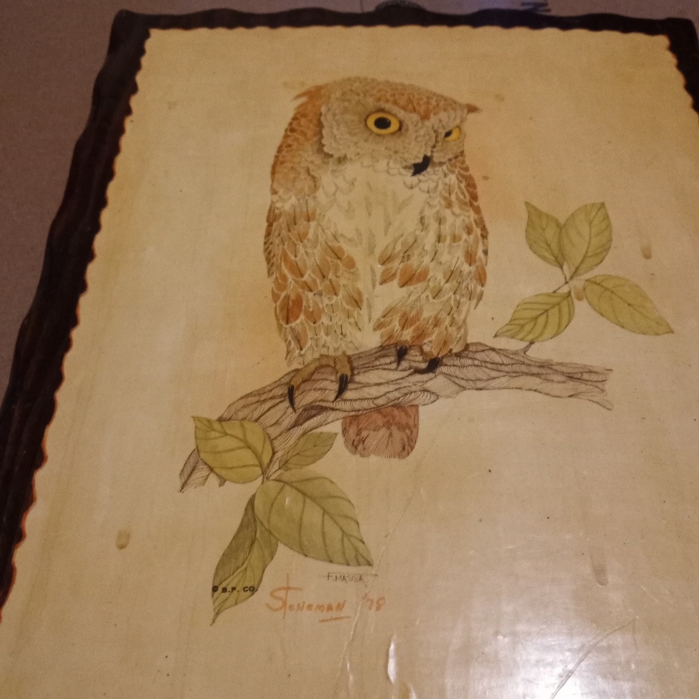 F.Massa Owl on Wood